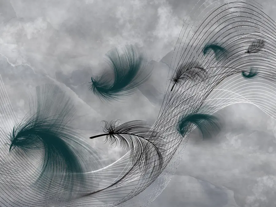 wall murals Перје на ветру u80391