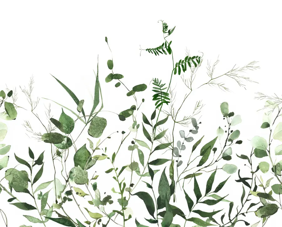 wall murals Зелене дивље гране u72395