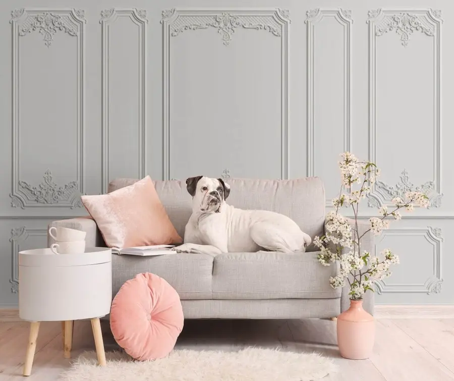 wall murals Правоугаоник, фонт и паралела u72611