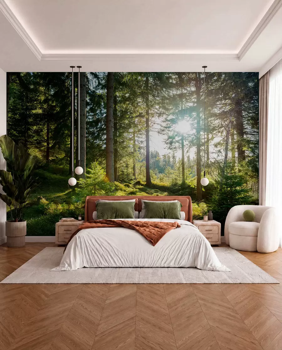 wall murals Царконосхе планине у Пољској u80015