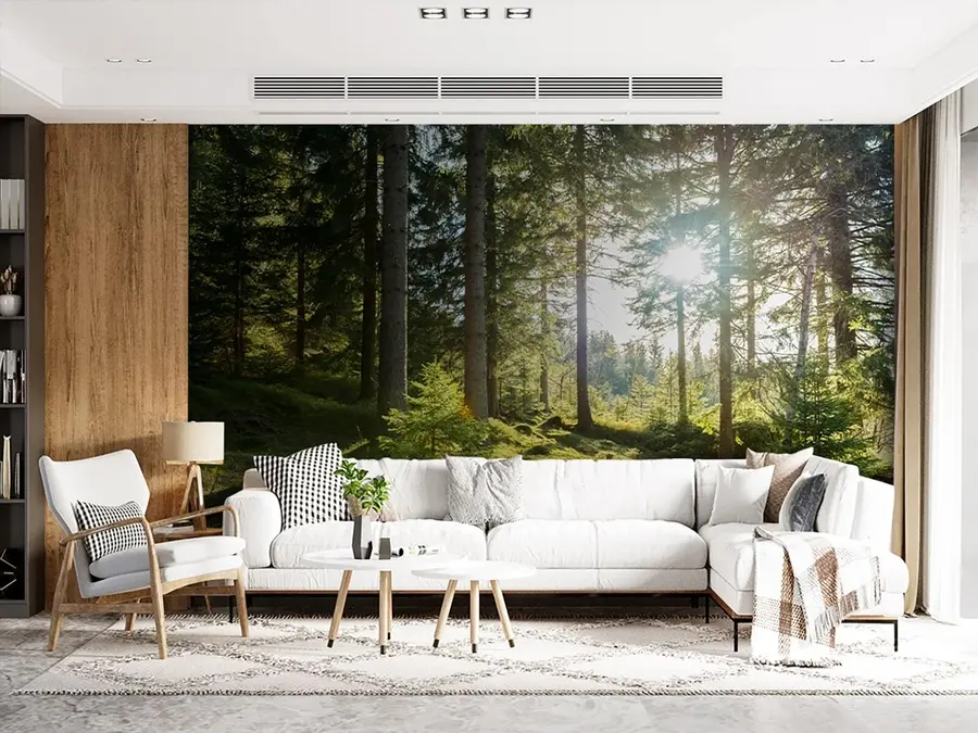 wall murals Царконосхе планине у Пољској u80015