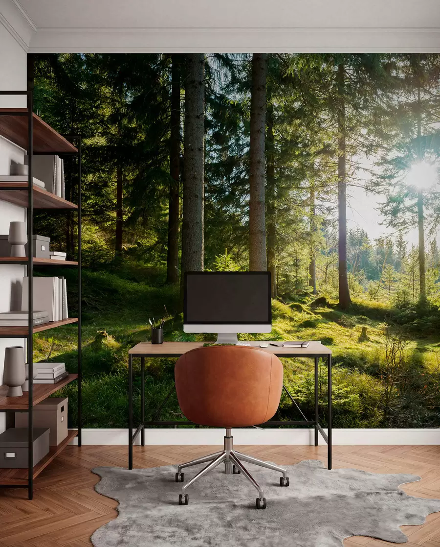 wall murals Царконосхе планине у Пољској u80015