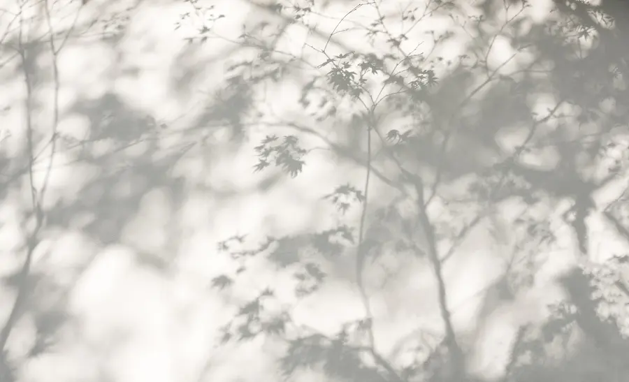 wall murals Сенка на зиду u79829