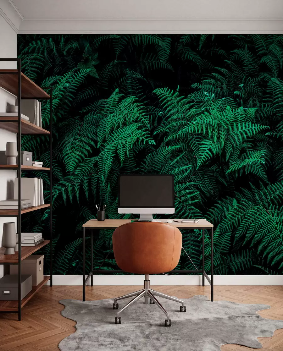 wall murals Ферн u73636