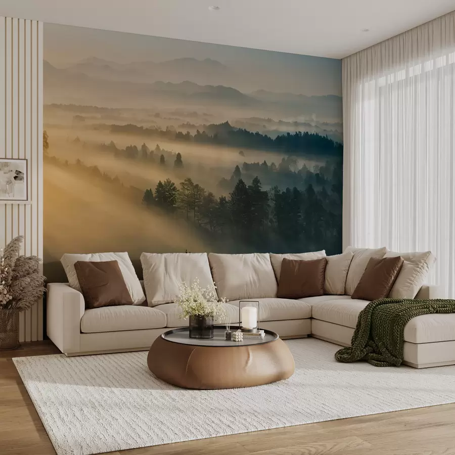 wall murals Зраци сунца и магловита шума u73864