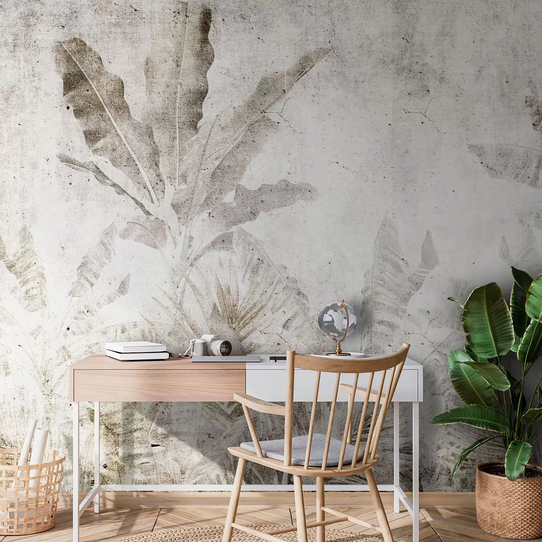 wall murals Банана лишће на бетонском зиду u73886