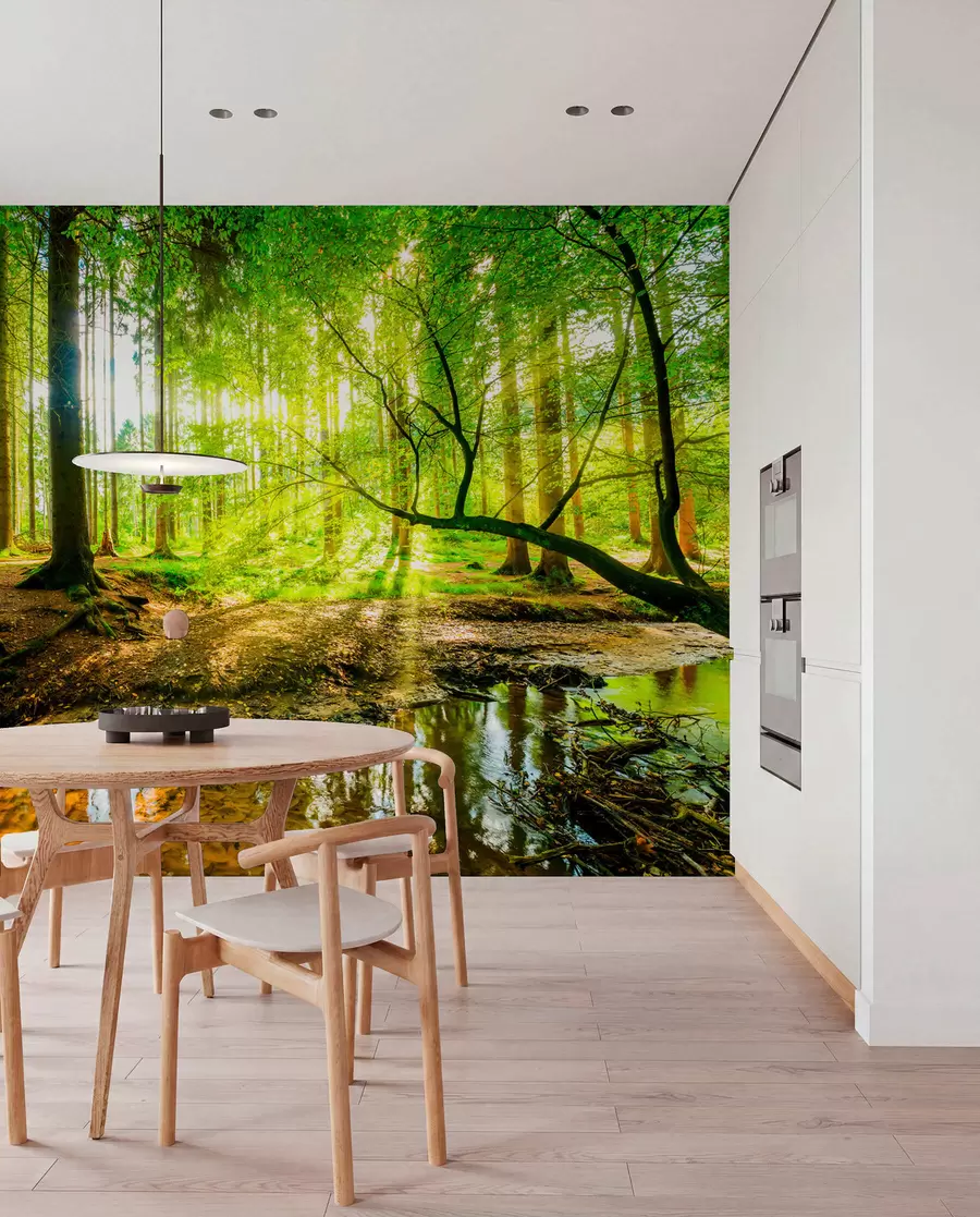 wall murals Транспарентност шумског тока u93621