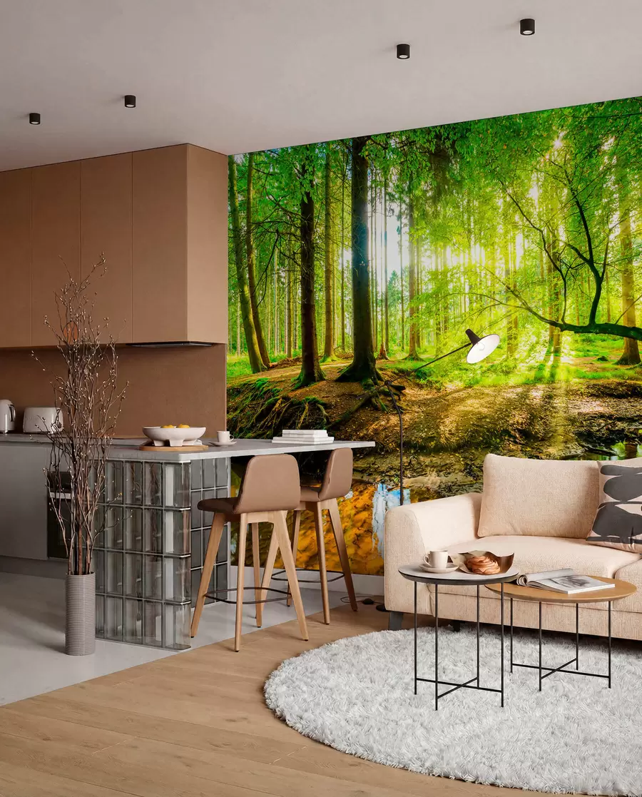 wall murals Транспарентност шумског тока u93621