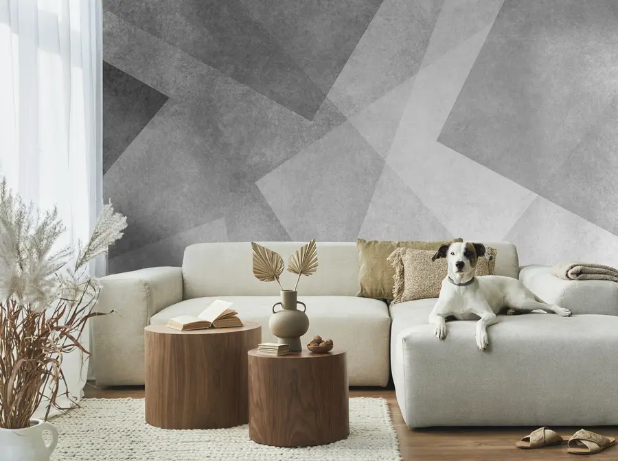 wall murals Геометријска апстракција сиве боје u74057