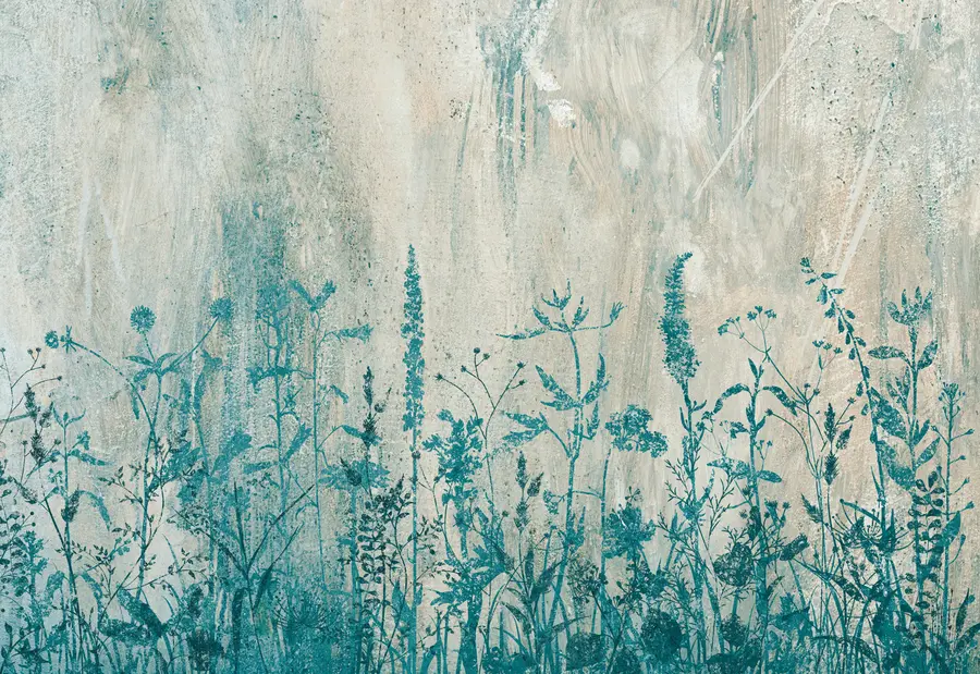 wall murals Зелене биљке на бетонском зиду u93666