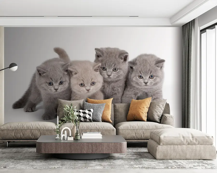 wall murals Око, мачка и месорија u55076