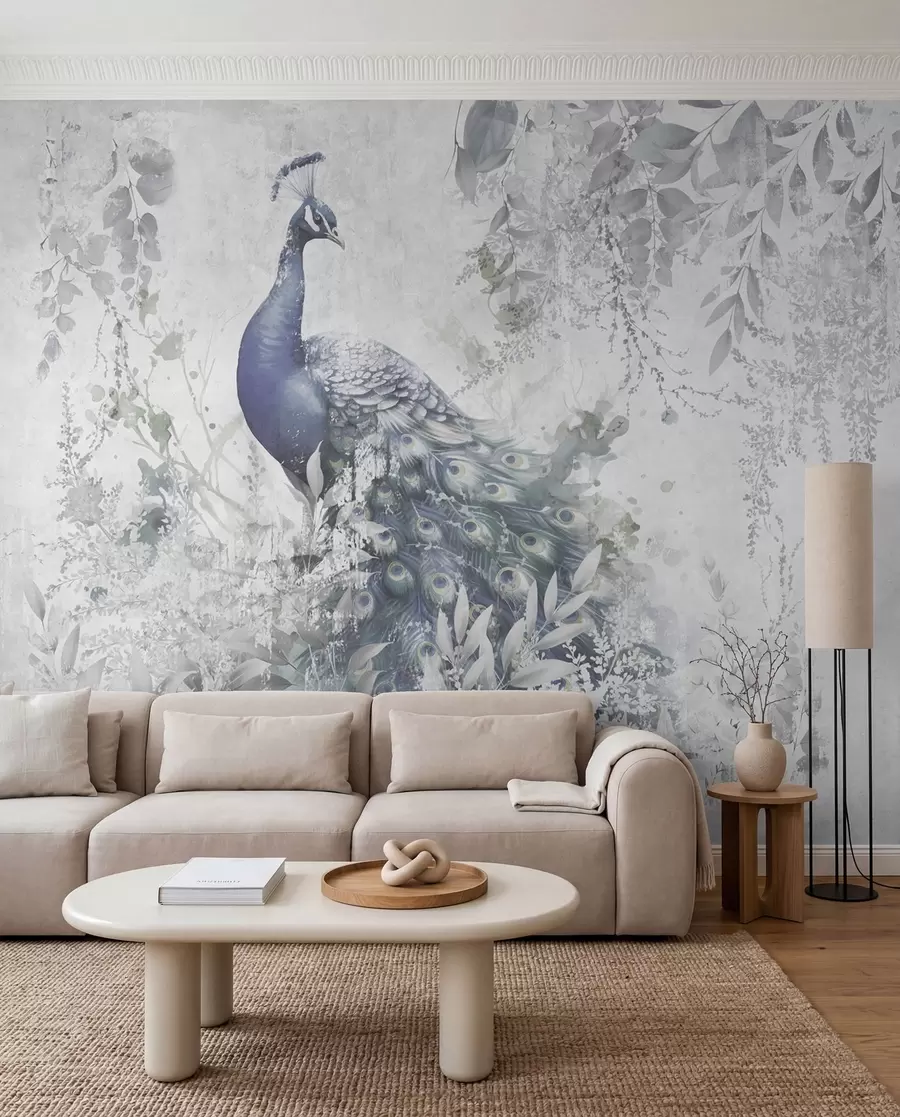 wall murals Фрагиле пауна на бетонској позадини бетона Грунге u96727