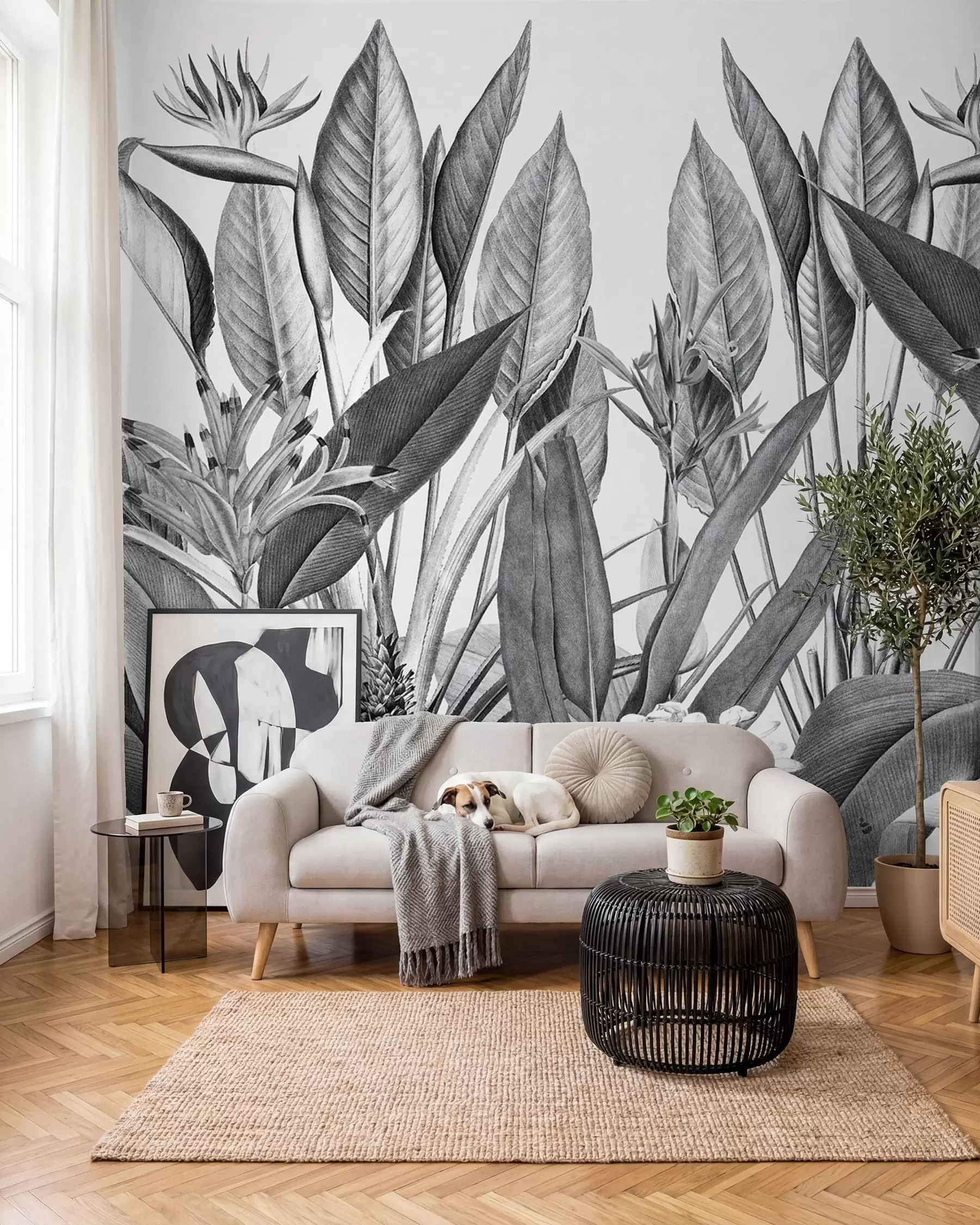 wall murals Биљке тропске џунгле Црно-бела боја u96833
