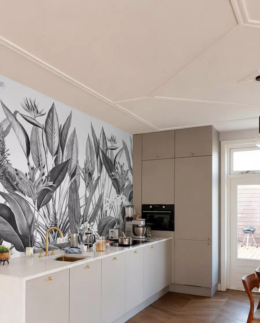 wall murals Биљке тропске џунгле Црно-бела боја u96833