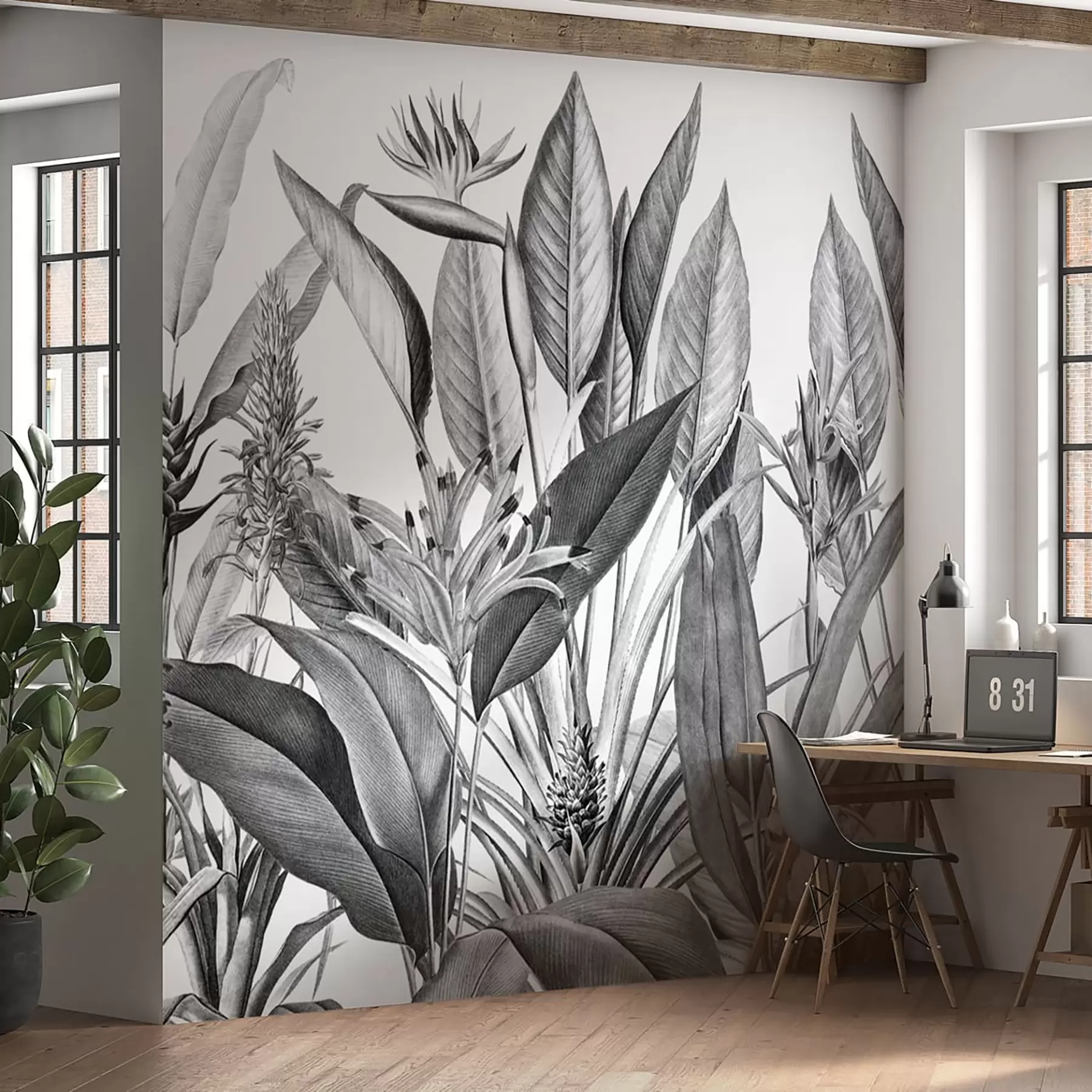 wall murals Биљке тропске џунгле Црно-бела боја u96833