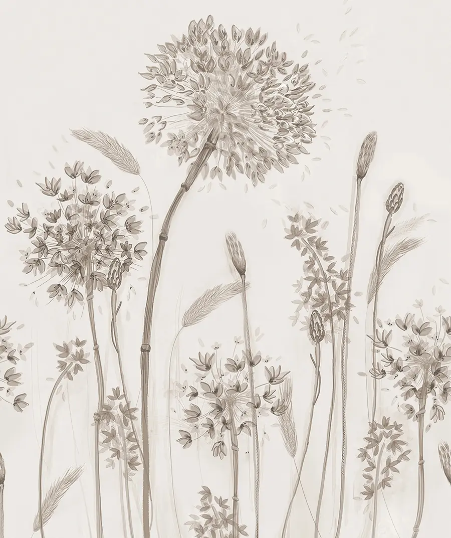 wall murals Велика ливада цвеће маслачких маслачких монохроме стил минимализам u96934