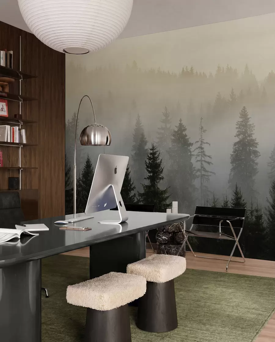 wall murals Тамна смрека силуета окружена магле u96999