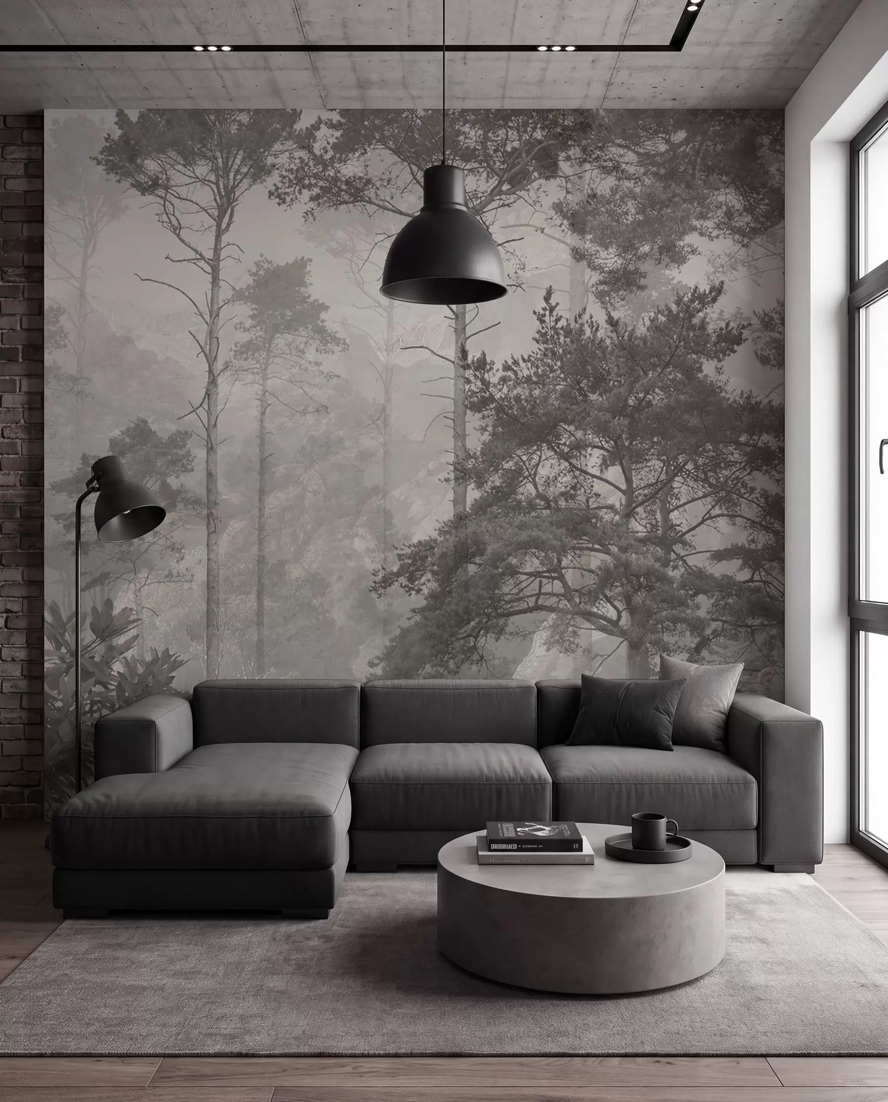 wall murals Висока стабла на брдима, шума у ​​магли u97190
