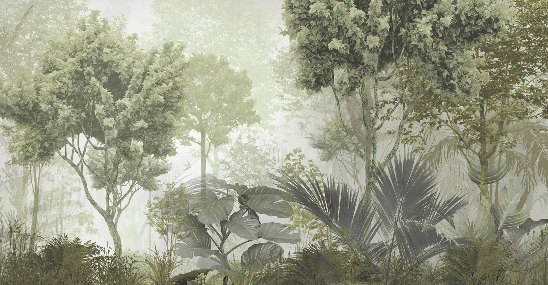 wall murals Ујутро у дубини шуме u97409