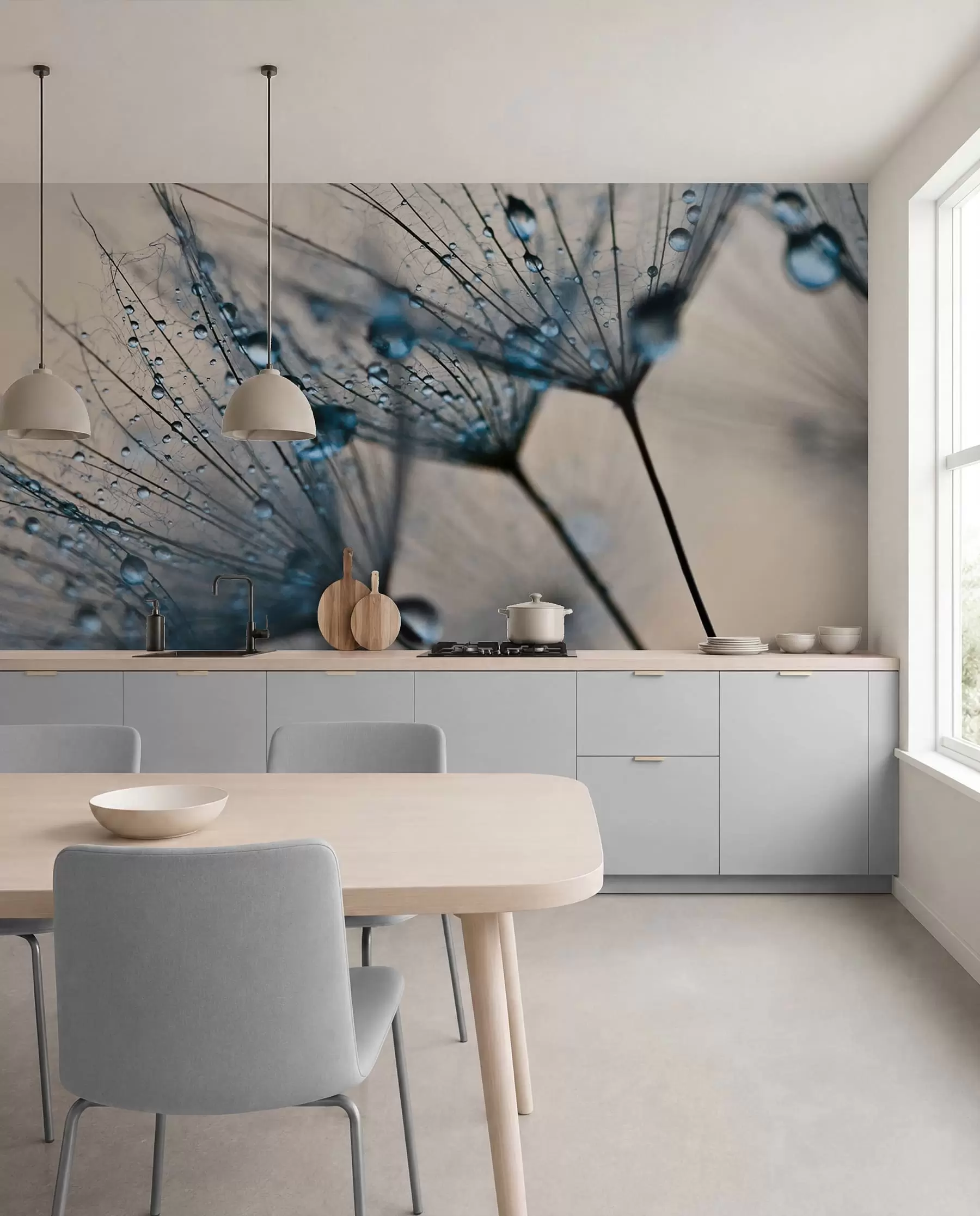 wall murals Маслачак са плавим капљицама воде u57557v1