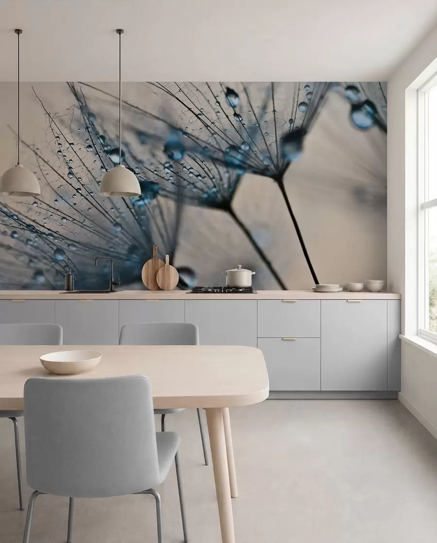 wall murals Маслачак са плавим капљицама воде u57557v1