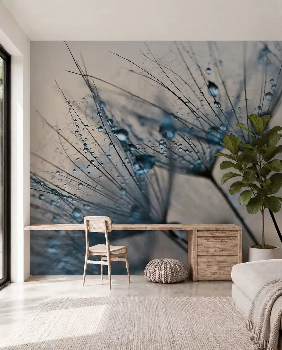 wall murals Маслачак са плавим капљицама воде u57557v1