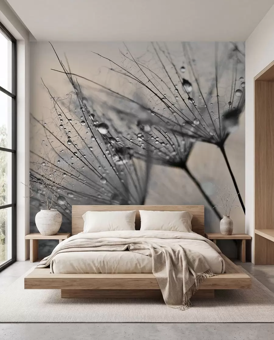 wall murals Маслачак са сивим капима воде u57557v2
