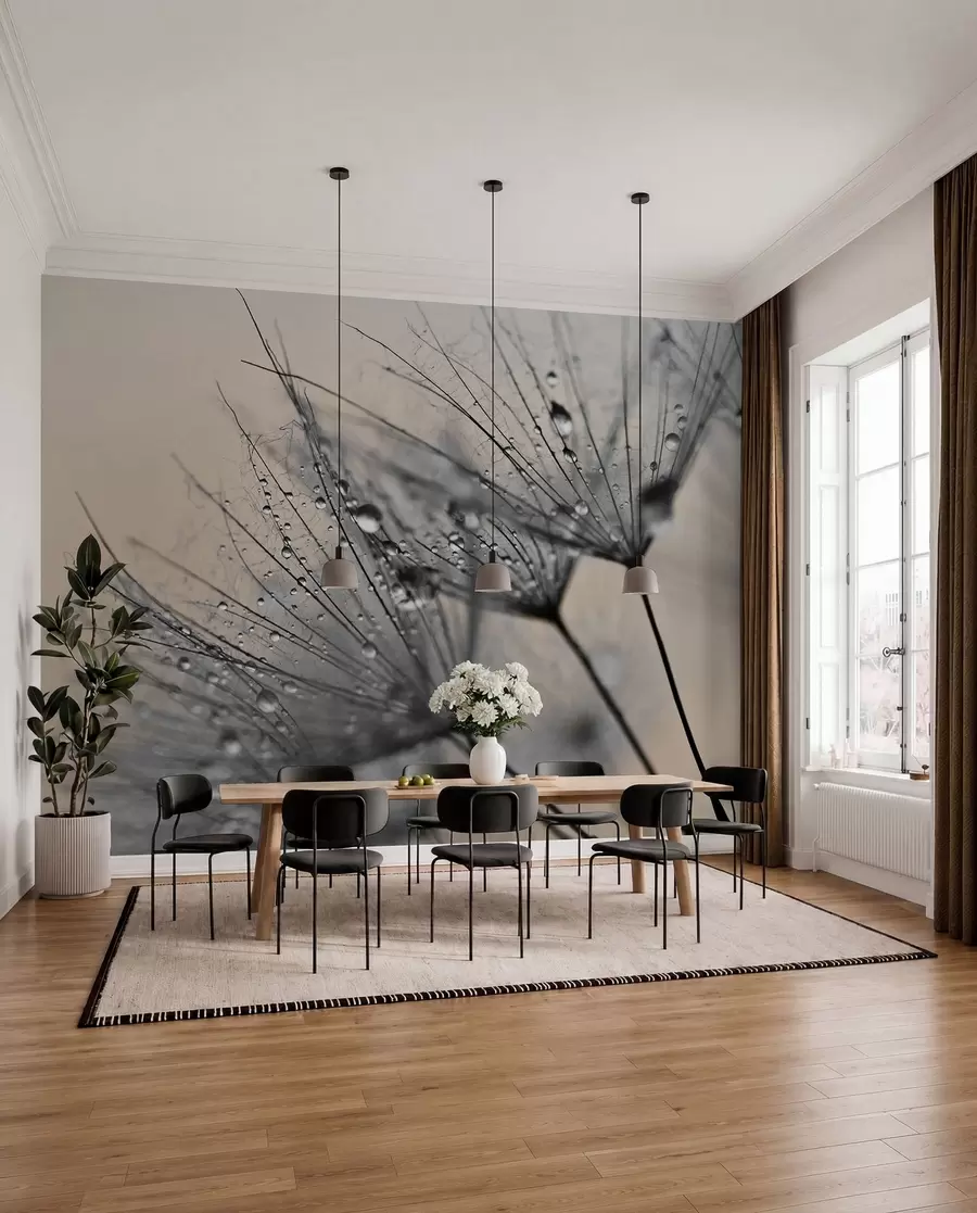wall murals Маслачак са сивим капима воде u57557v2