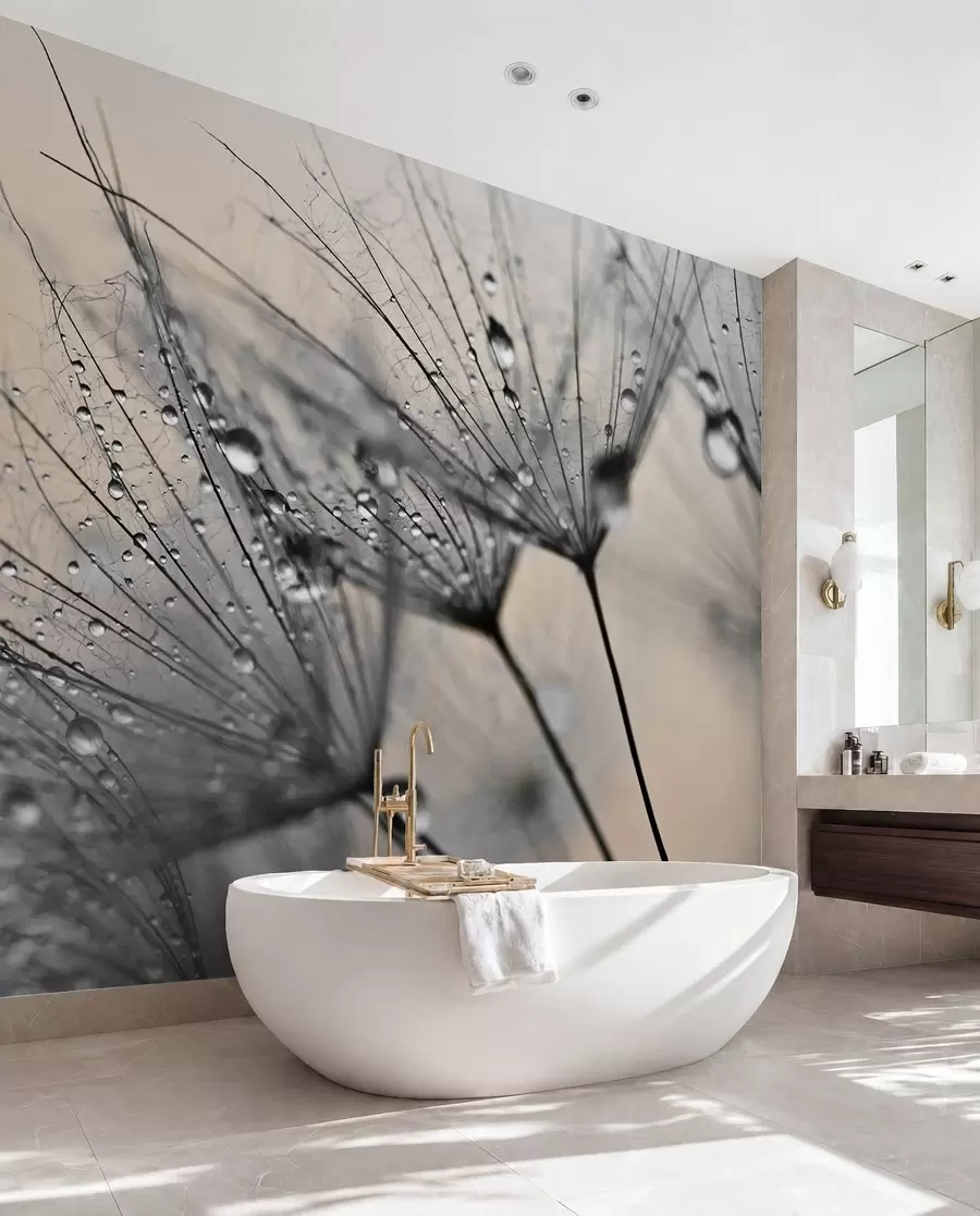 wall murals Маслачак са сивим капима воде u57557v2