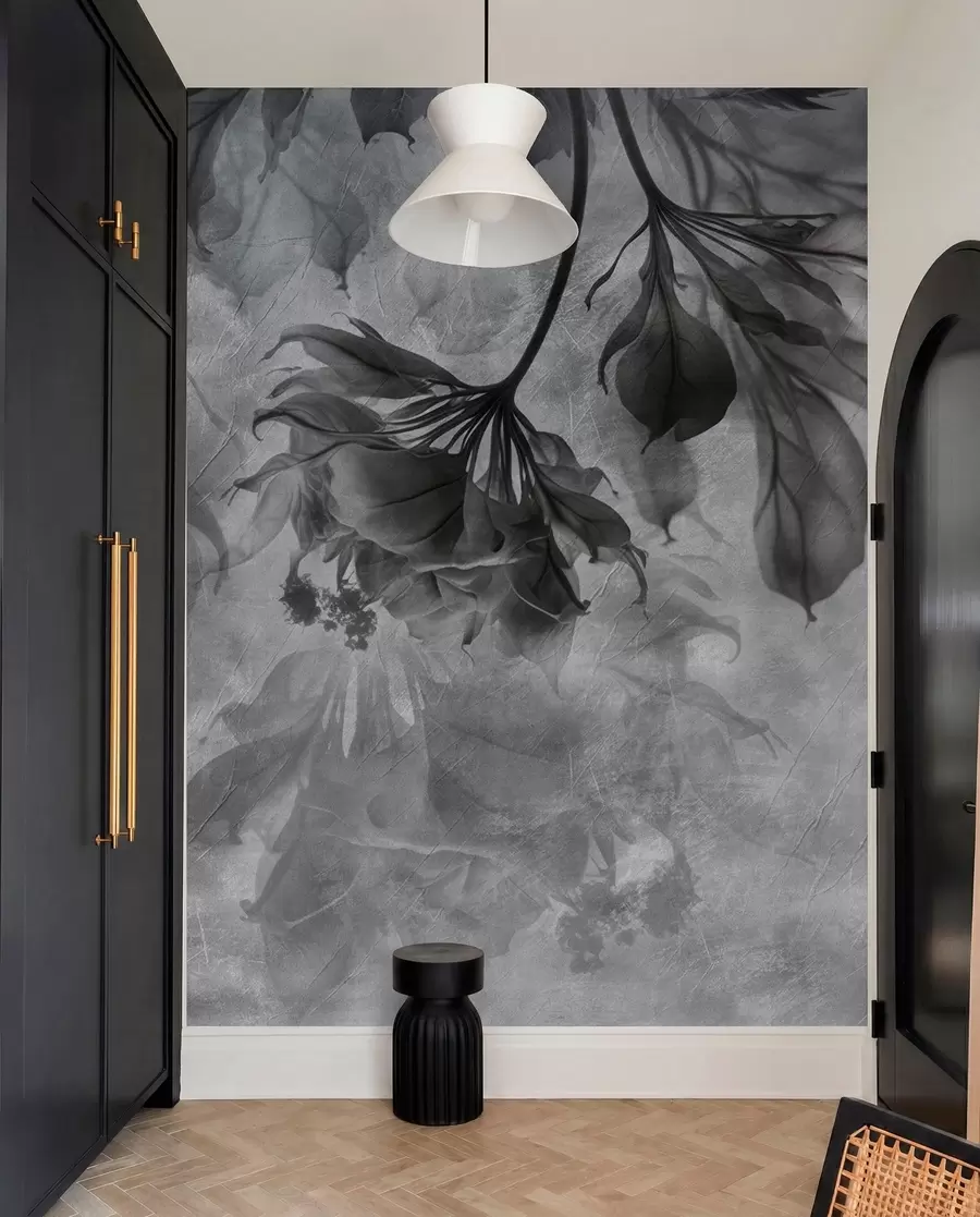 wall murals Нежне прозирне гране у сивој боји u93927v2