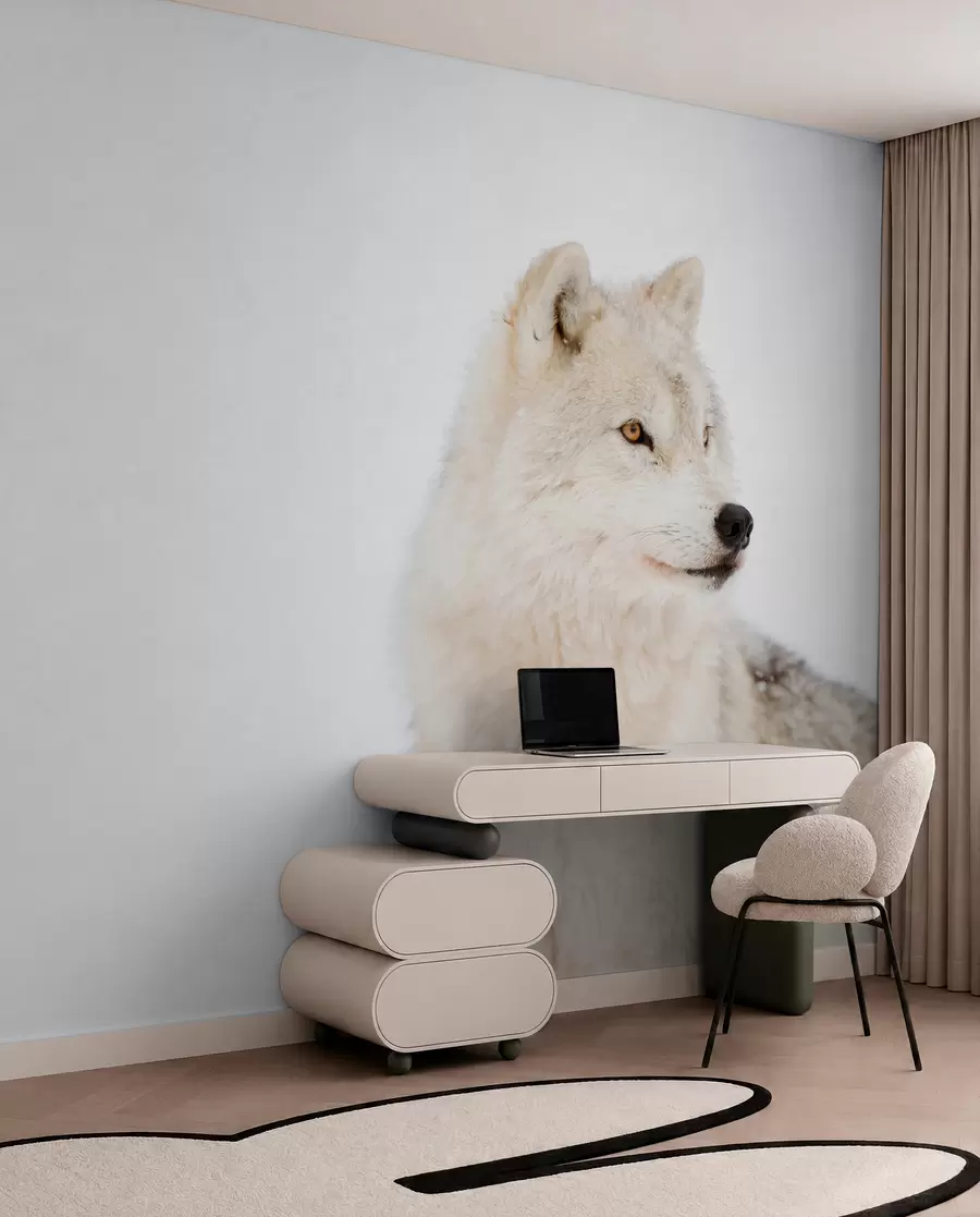 wall murals Арктички вук на белој позадини u98189