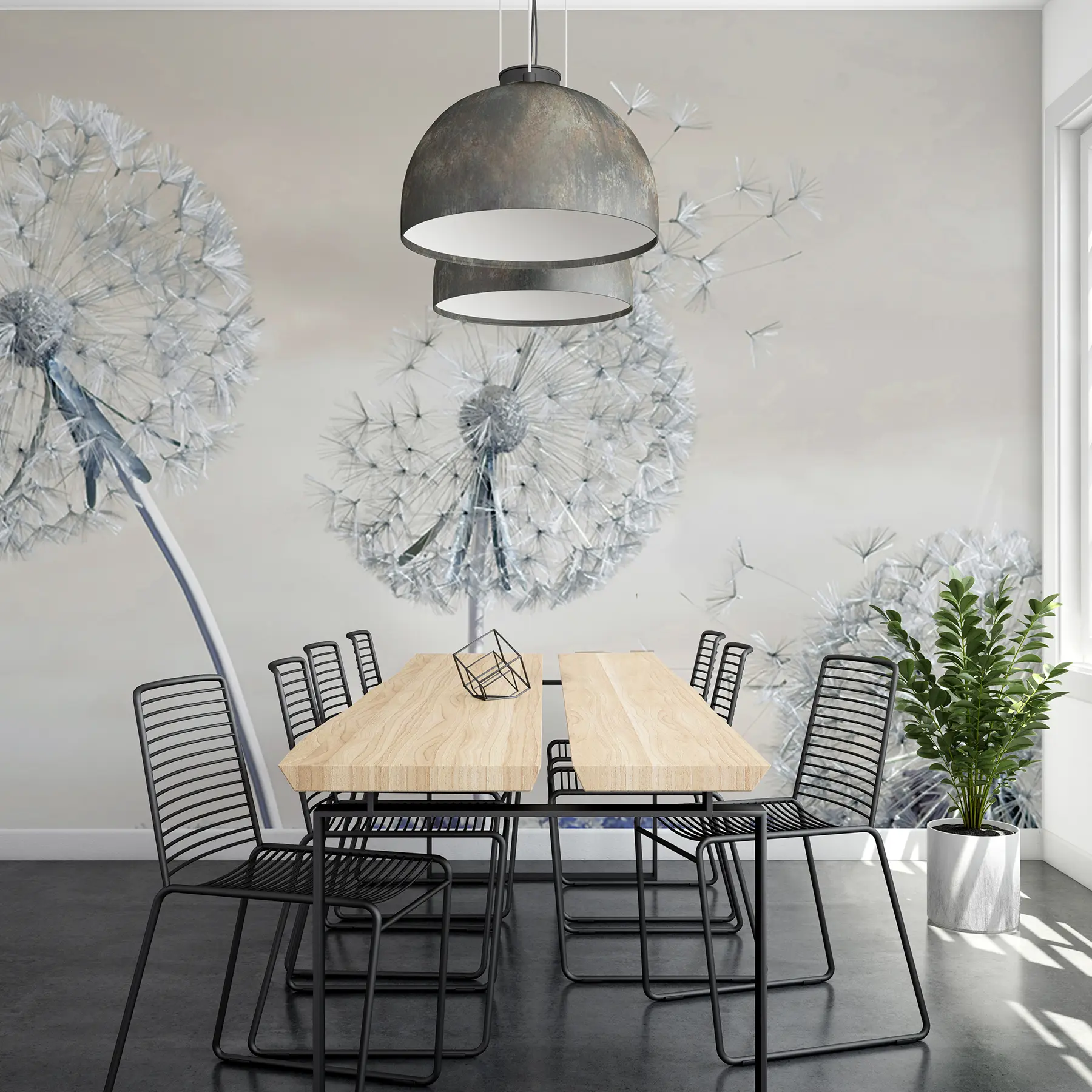 wall murals Велики маслачак u44628v1
